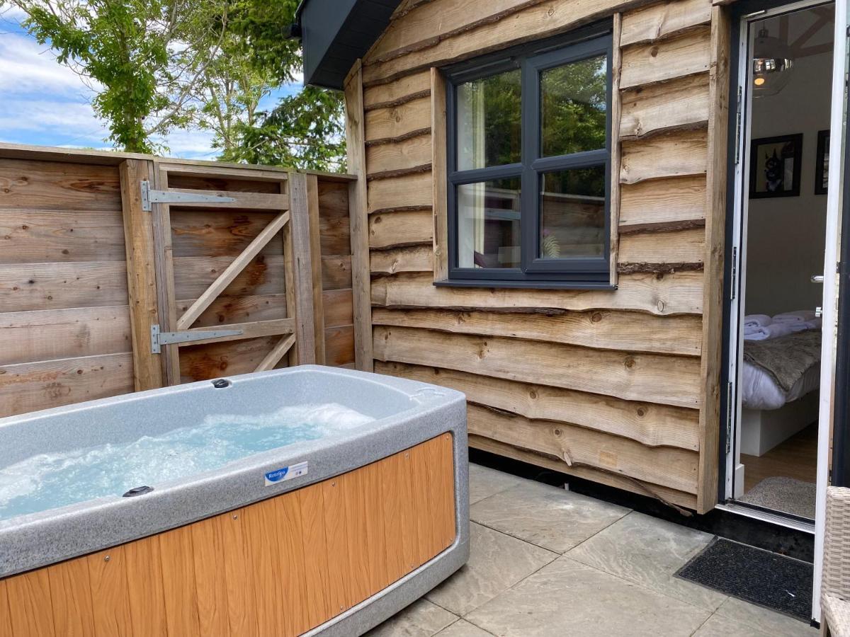 Fox With Hot Tub